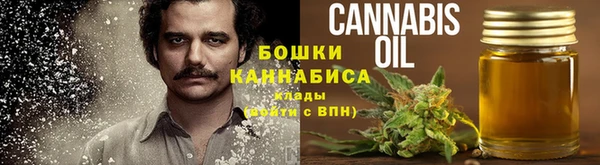 индика Волоколамск