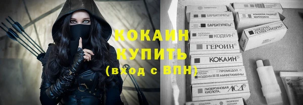индика Волоколамск