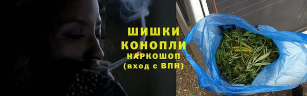 СК Волосово