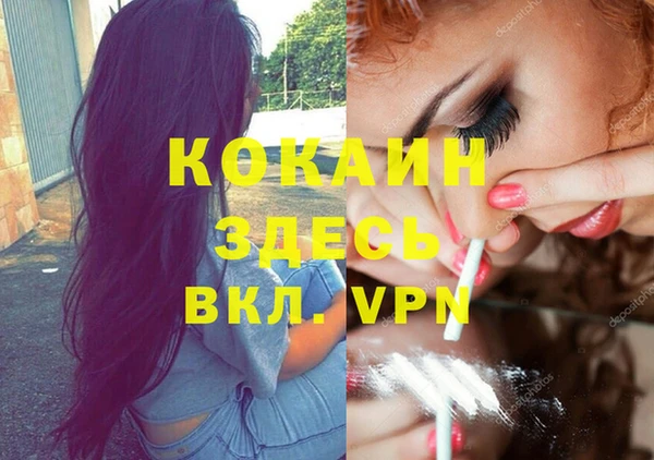 СК Волосово