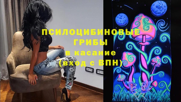 СК Волосово