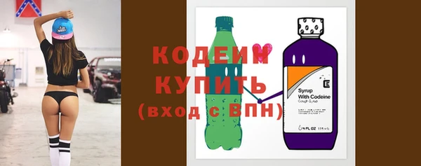 индика Волоколамск
