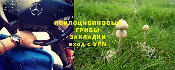 СК Волосово
