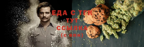 индика Волоколамск
