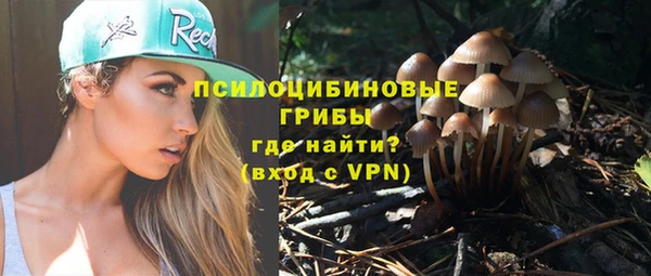 индика Волоколамск