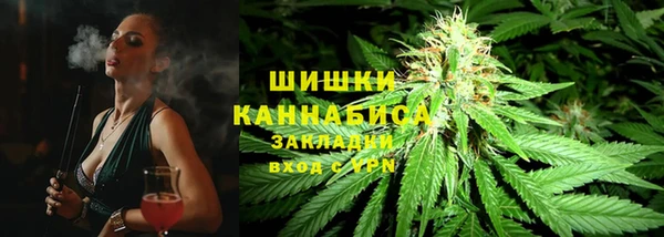 индика Волоколамск
