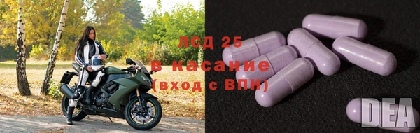 СК Волосово
