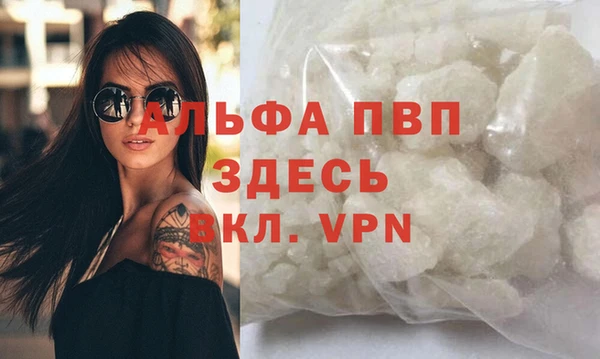 индика Волоколамск